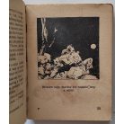 Zane Grey: Vadnyugat leánya (Bibliotéka képregény)