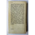 Balázs Anna: Lányok az éjszakában