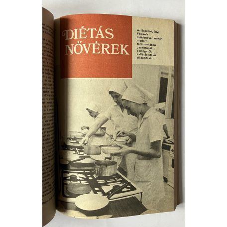 Remete Tiborné, Dr. (szerk.): Nők Magazinja Almanach 1977'