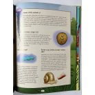  Kiss Bitay Éva: Tudod-e? -Érdekességek a természet világából