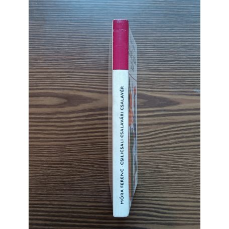 Móra Ferenc: Csilicsali Csalavári Csalavér 