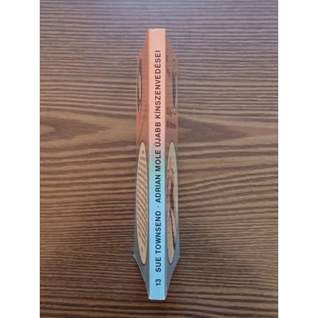  Sue Townsend: Adrian Mole újabb kínszenvedései