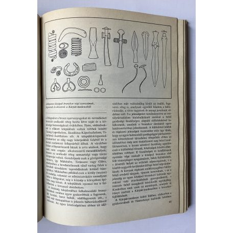 Kőszegi Frigyes: A történelem küszöbén