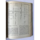 Kőszegi Frigyes: A történelem küszöbén