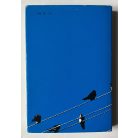 Schmidt Egon: Hová mennek, honnan jönnek vándormadaraink?