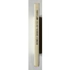 Borbély Sándor: Így élt Ady Endre