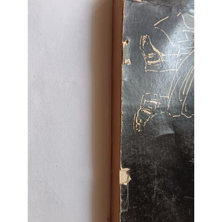 Publius Ovidius Naso: A kétezer éves Ovidius