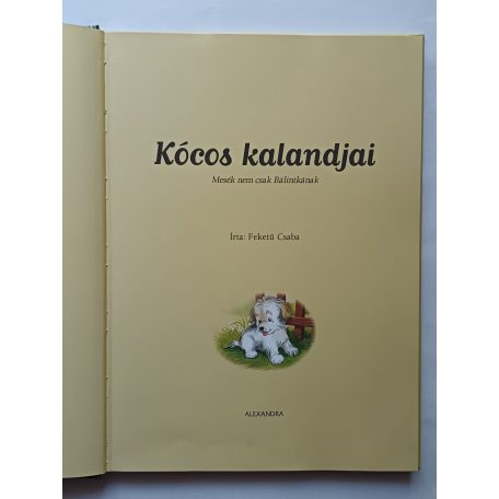 Feketű Csaba: Kócos kalandjai 