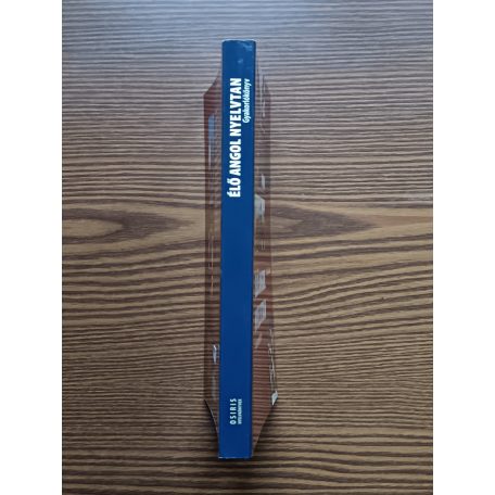 Budai László Dr.: Élő angol nyelvtan - Gyakorlókönyv