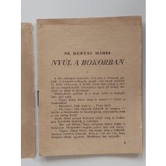 Sz. Kartay Mária: Nyúl a bokorban