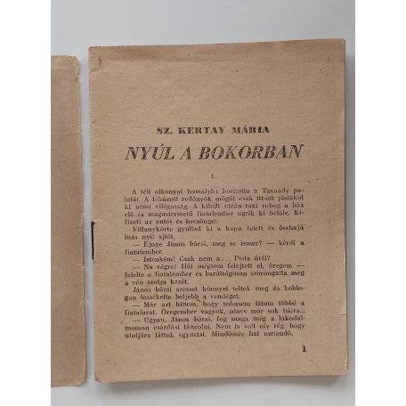 Sz. Kartay Mária: Nyúl a bokorban