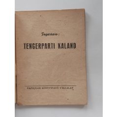 Fogazzaro: Tengerparti kaland