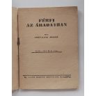 Csátaljai József: Férfi az áradatban