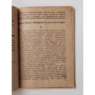 Molnár Dénes: Hallgatni is, beszélni is bűn (Világvárosi Regények 757.)