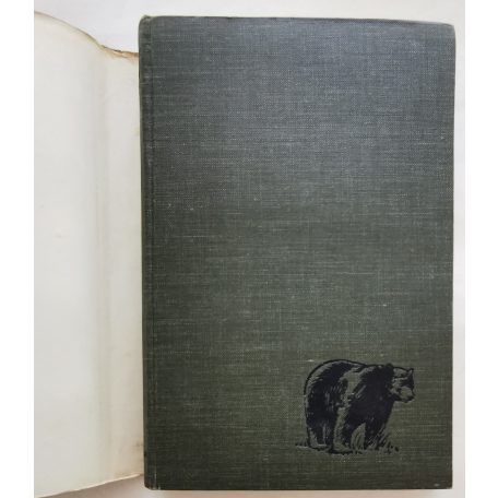 Maderspach Viktor: Páreng-Retyezát 