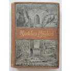 Verne Gyula: Névtelen család (Gottermayer kötésváltozat)