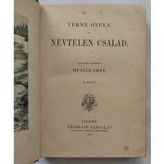   Verne Gyula: Névtelen család (Gottermayer kötésváltozat)