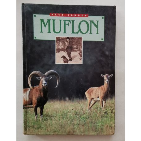 Rácz Sándor: Muflon