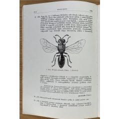 Móczár Miklós: Ősméhek - földi méhek