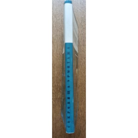 Az ermitázs műkincsei - Art Treasures of the Hermitage (orosz nyelvű)