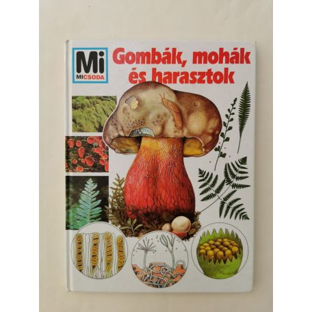 Andreas Zeugner: Gombák, mohák és harasztok