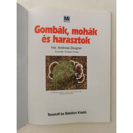 Andreas Zeugner: Gombák, mohák és harasztok
