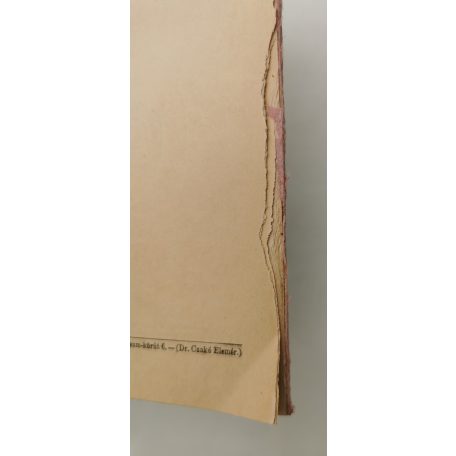 Bárczi Géza: A „pesti nyelv” (Első kiadás!)