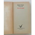 Rejtő Jenő (P. Howard): Csontbrigád