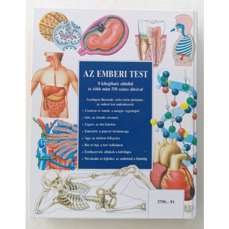 Az emberi test - Teljes áttekintés szervezetünk felépítéséről