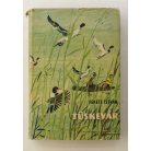 Fekete István: Tüskevár (Szecskó Tamás rajzaival)