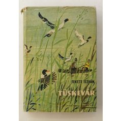Fekete István: Tüskevár (Szecskó Tamás rajzaival)