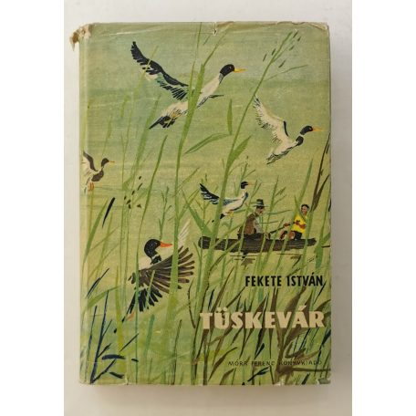 Fekete István: Tüskevár (Szecskó Tamás rajzaival)