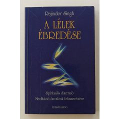 Rajinder Singh: A lélek ébredése