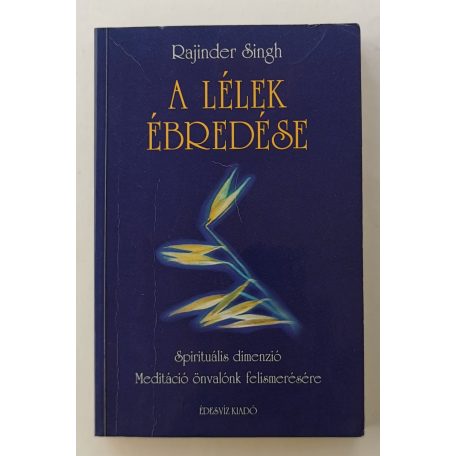 Rajinder Singh: A lélek ébredése