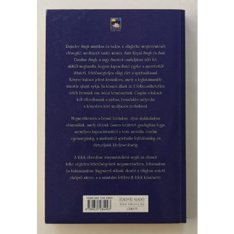 Rajinder Singh: A lélek ébredése