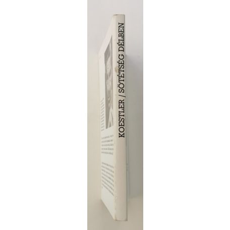 Arthur Koestler: Sötétség délben 