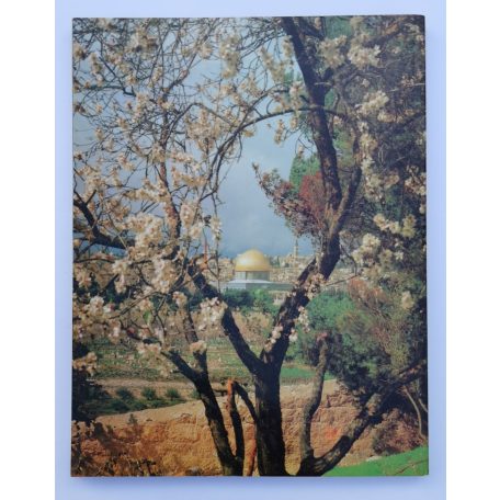 Sani Khoury: See The Holy Land - In 228 Coloured pictures