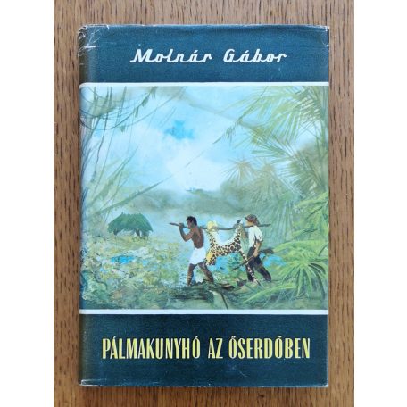 Molnár Gábor: Pálmakunyhó az őserdőben