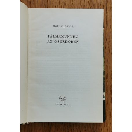 Molnár Gábor: Pálmakunyhó az őserdőben