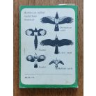 Bencze L., Dr., Dániel I., Dr.: Vadászati alapismeretek 