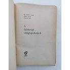 Földessy János – Hoffer József – Pánczél Lajos: A labdarúgó világbajnokságok