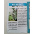 Pejkó, az én lovam 8.