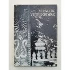 Katona Tamás (szerk.): Virágok vetélkedése Fafaragások kalotaszegi kapukon és házoromzatokon