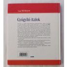 Anne McIntyre: Gyógyító italok