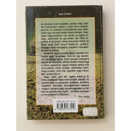 Gáll István: Vaskor