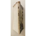 Abádi Imre: Judea renaissancea. Képek a palesztinai uj zsidó életből