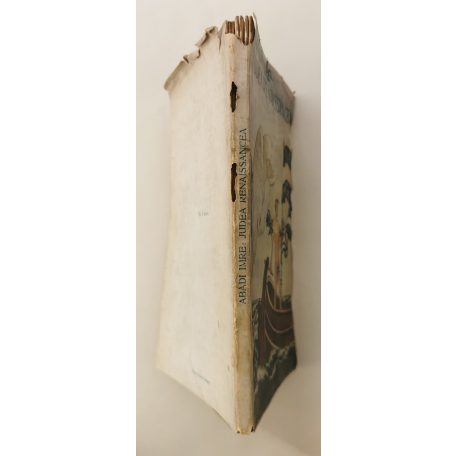 Abádi Imre: Judea renaissancea. Képek a palesztinai uj zsidó életből