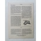 Arató Antal, Dr. (szerk.): Kisgrafika 34. évf. 1-4. sz. 1995