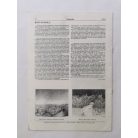 Arató Antal, Dr. (szerk.): Kisgrafika 37. évf. 1-4. sz. 1998