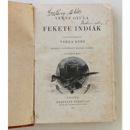 Verne (Jules) Gyula: Fekete indiák